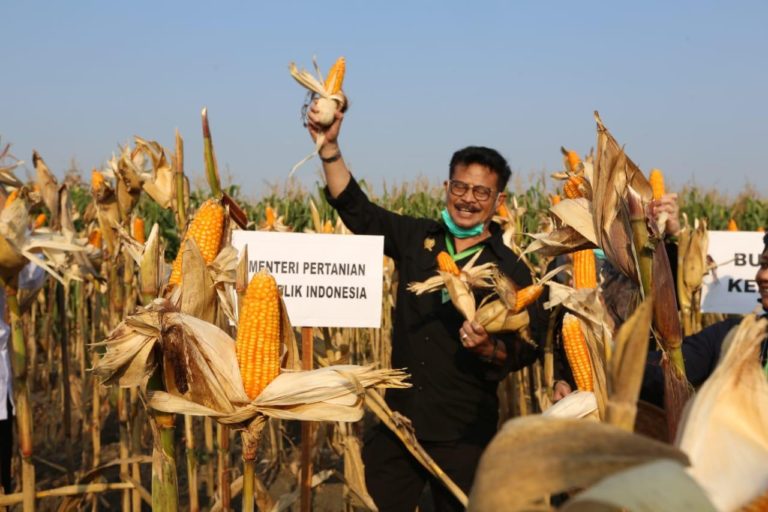 Rumah Ekonomi Rakyat: SYL Nahkoda Tangguh, Selamatkan Dari Krisis Pangan