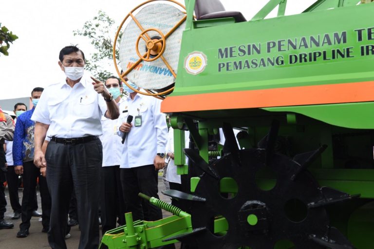 Luhut: Food Estate Kesempatan Emas Wujudkan Modernisasi Pertanian