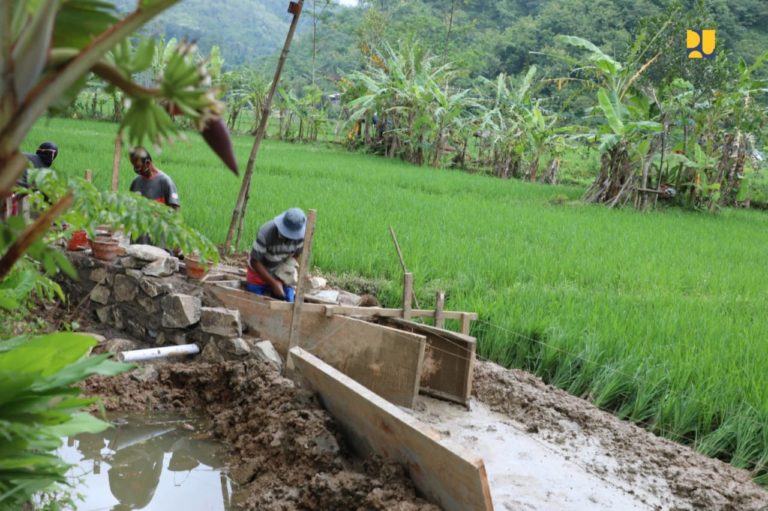 Salurkan Padat Karya P3-TGAI, Kementerian PUPR Tingkatkan Jaringan Irigasi di Pacitan