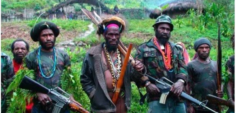 Ulah KKB Resahkan Warga, Komisi I DPR: Evaluasi Total Alat Keamanan di Papua