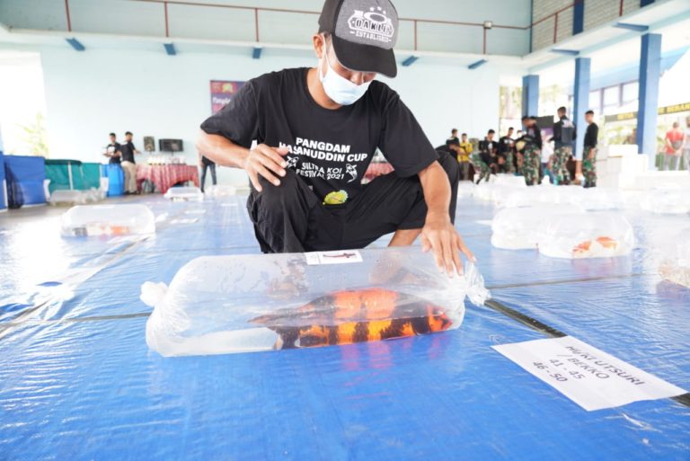 Pamerkan 449 Ikan, Pecinta Koi Sultra Akan Raih Puluhan Juta dari Pangdam Hsn