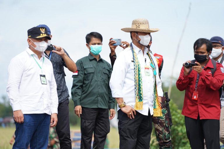 Ekonom ini Apresiasi Kinerja Kementan dalam Pengembangan Food Estate