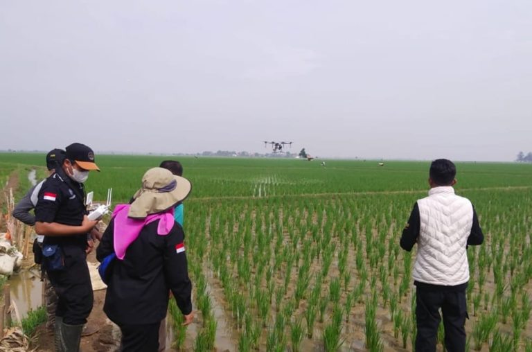Kendalikan OPT, Kementan Kenalkan Drone Semprot Berbahan Agens Hayati
