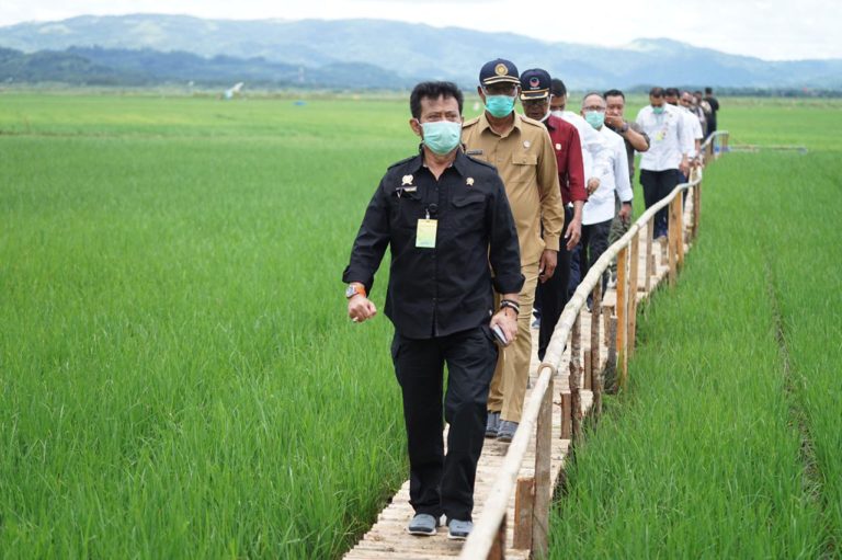 Food Estate Sumba Tengah, Kementan: Jalan Keluar Dari Penderitaan