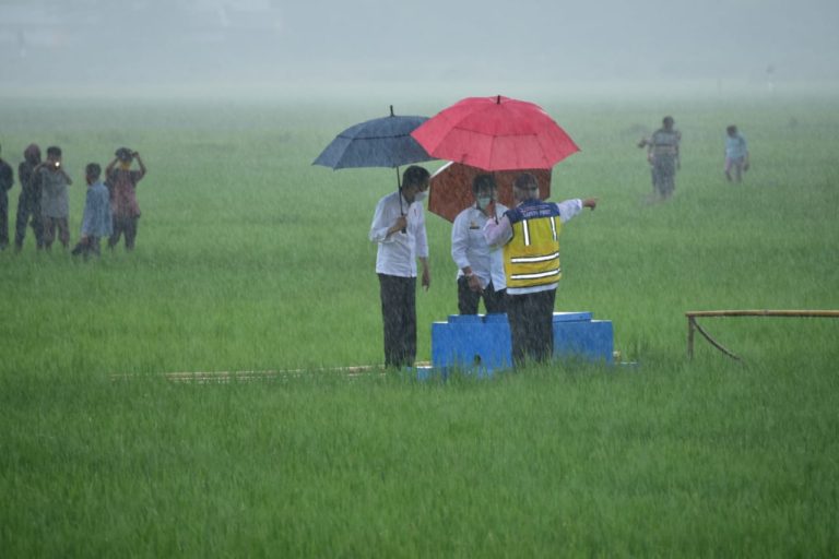 Jokowi Dorong Pembangunan Kawasan Food Estate Sumba Tengah Capai 10.000 Ha