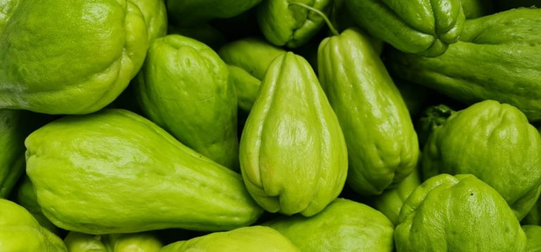 Kementan Dukung Pilot Project Closed-Loop Hasilkan Produk Hortikultura Berkualitas