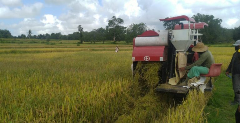 Di Indonesia Timur Program PATB Padi Kementan Terbukti Berjalan Baik