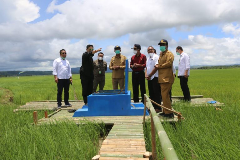 Universitas Undana Kupang Turut Sukseskan Food Estate Sumba Tengah