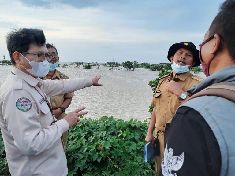 Ini Solusi Kementan Bagi Petani Terdampak Banjir di Pantura