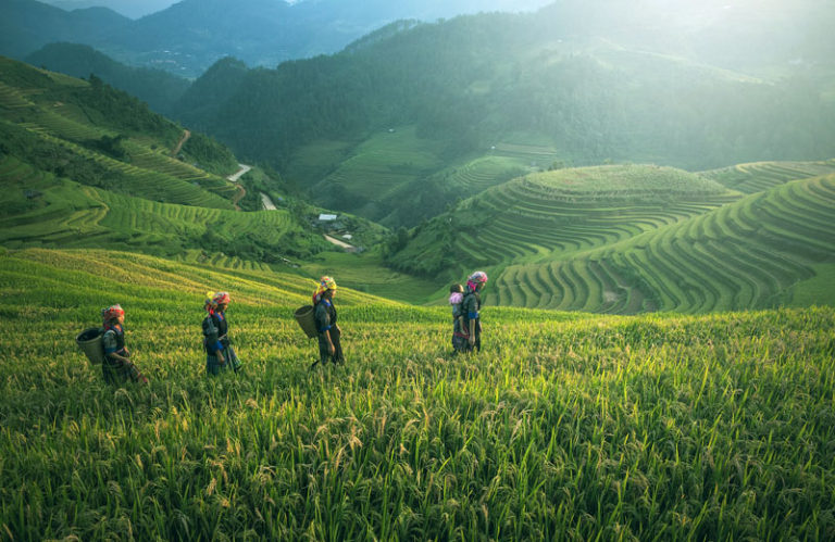 Fokus Program Percepatan Reforma Agraria