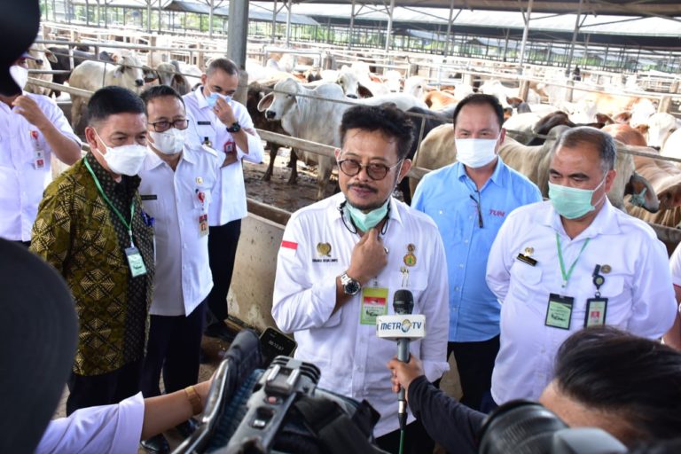 Mentan Pantau Ketersediaan Sapi Potong dan Daging Beku Jelang HKBN