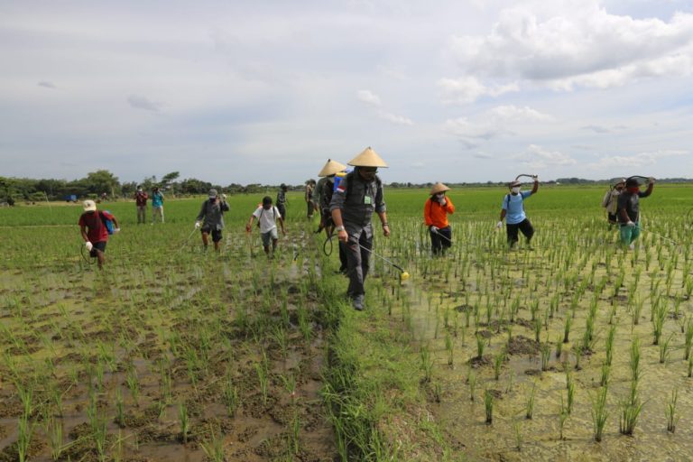 Mentan SYL Gulirkan Bantuan Integrated Farming Berbasis Korporasi di Boyolali