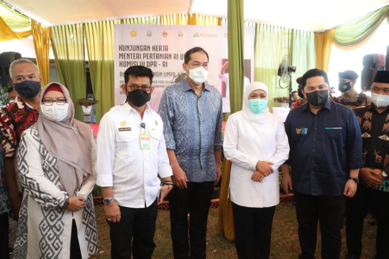 Perdana! Mentan, Mendag, dan Menteri BUMN Panen Raya di Kabupaten Gresik