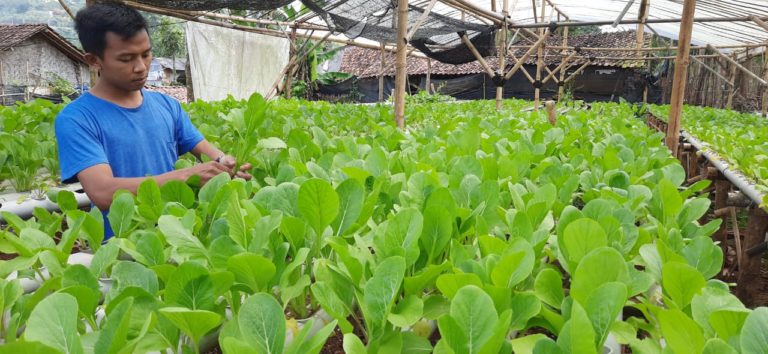 Pendampingan Jamkrindo Tingkatkan Optimisme Masyarakat