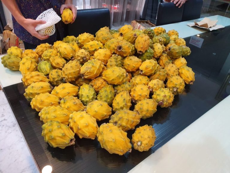 Buah Naga Kuning, Ternyata Ditemukan 30 Tahun Lalu di Singapura