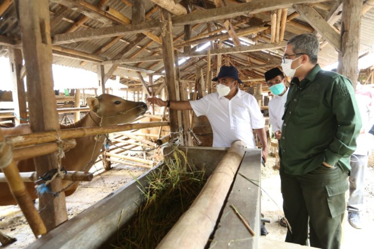 Kementan Fasilitasi Industrialisasi Peternakan NTB
