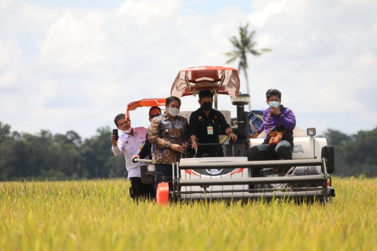 Mentan SYL Panen dan Gerakkan Serap Gabah di Maros
