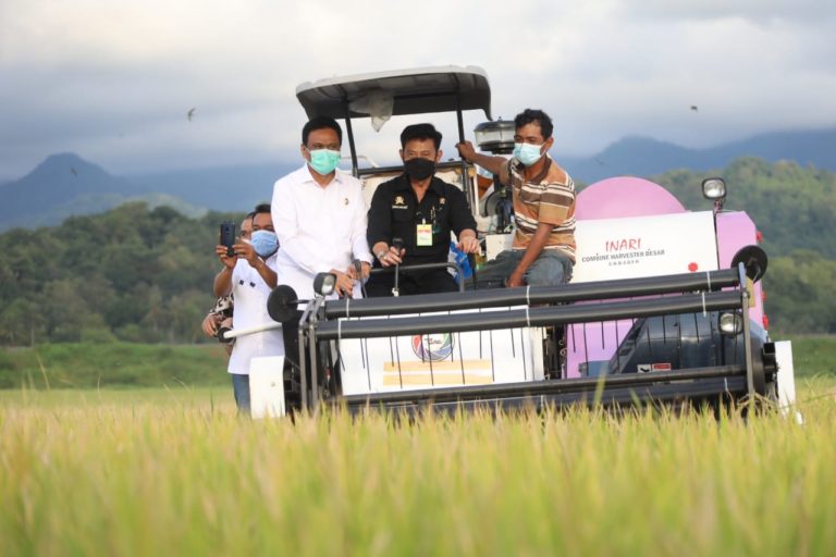 Panen Padi di Barru, Mentan SYL Bersama Mitra Tancap Gas Serap Gabah Petani