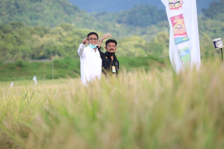 Optimisme Bupati Maros dan Barru pada Panen Tahun Ini