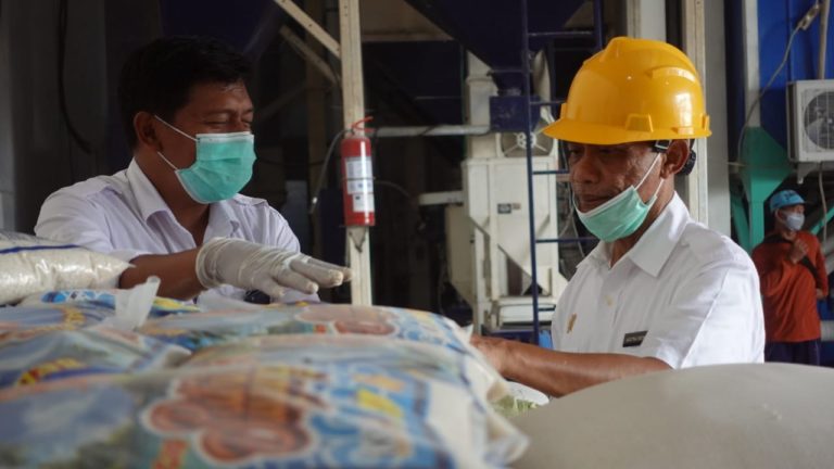Cegah Harga Jatuh, Kementan dan PT Pertani Bersinergi Serap Gabah Petani