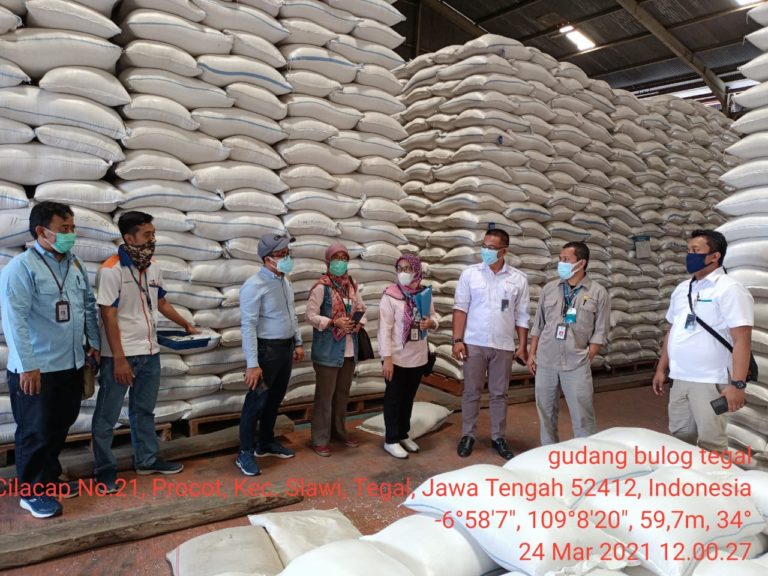 Dikawal Tim GSGP Kementan, Kabupaten Brebes dan Tegal Siap Serap Gabah Masing-masing 11 Ribu Ton