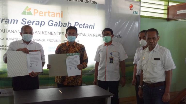 Kementan-PT Pertani Tingkatkan Produksi dan Optimalkan Serapan Gabah Melalui Corporate Farming
