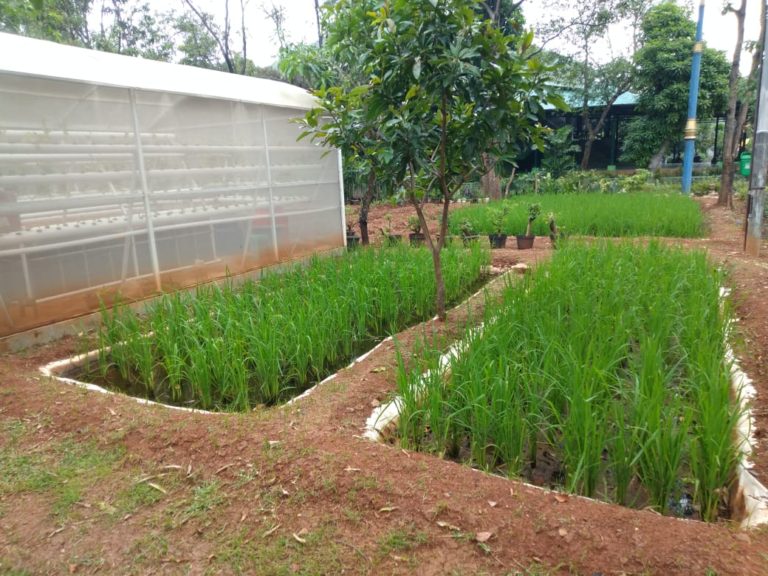 Program P2L di Jakarta Utara Terus Meluas