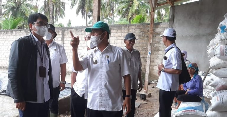 Kementan bersama Kostraling dan Mitra Sepakat Serap 1.500 ton Gabah di Pesisir Barat