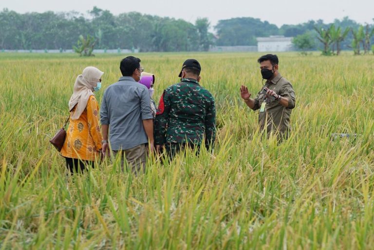 Kostraling Kementan dan Mitra Teken MoU Serap 25 Ribu Ton Gabah Petani Sukoharjo