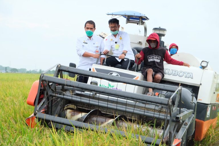 10 Peringkat Terbesar Provinsi Produsen Beras 2020