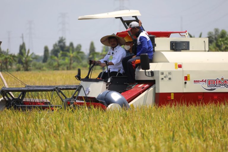 Panen Raya Didepan Mata, Mentan Minta Kostraling dan Bulog Bekerja Optimal