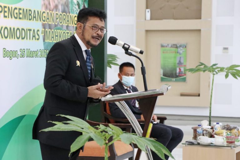 Porang, Komoditas Unggulan Penuh Potensi