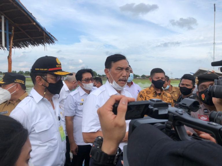 Menko Luhut Dorong Kolaborasi Food Estate Libatkan Kementan, PUPR dan Peneliti