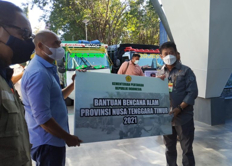Mentan SYL Kucurkan Bantuan dan Tinjau Lahan Pertanian Terdampak Bencana Alam di NTT