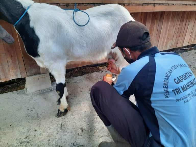 Korporasi Usahatani Tingkatkan Nilai Tambah Produk Pertanian