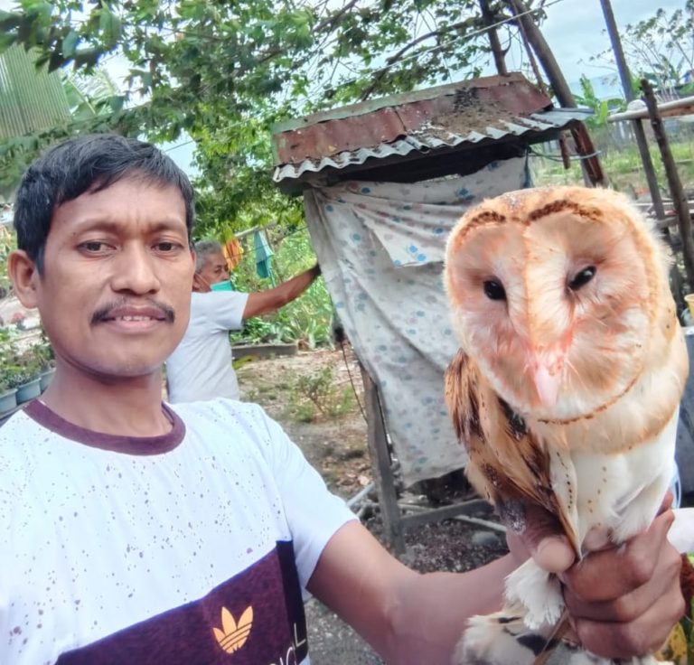 Kementan Galakkan Rubuha untuk Kendalikan Hama Tikus