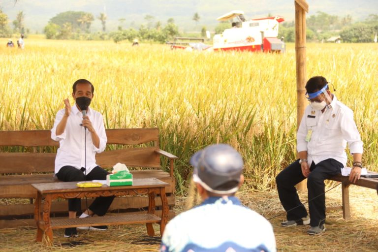 Jokowi Bahagia Menyaksikan Hasil Panen Melimpah