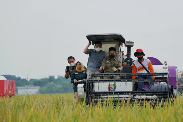LPEM UI: Tata Kelola Governance Kementan Sudah Sangat Baik