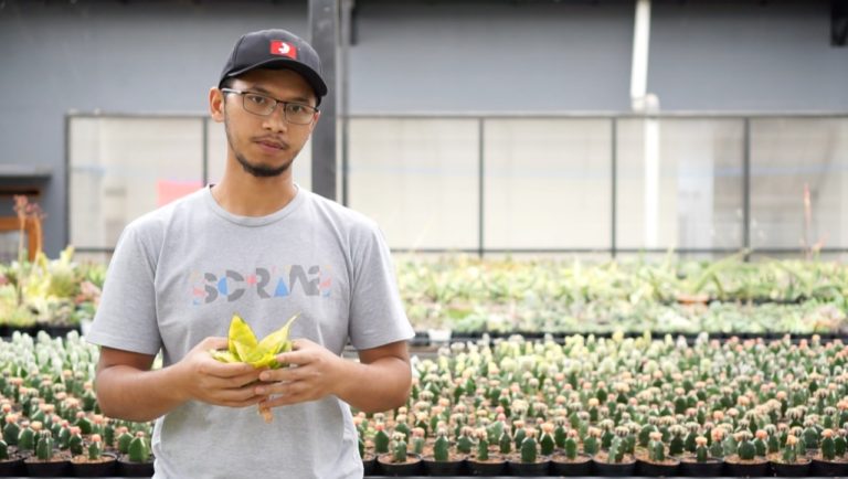Demi Kaktus, Aldy Ridwan Tinggalkan Karier di Dunia Minyak dan Gas