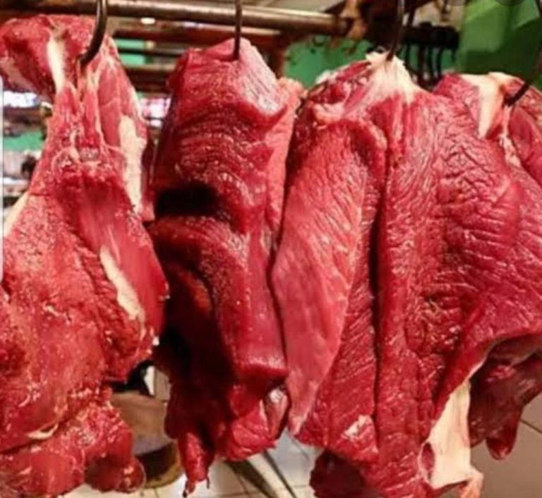 Kementan Pastikan Stok Pangan Hewani Aman Jelang Lebaran