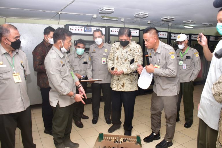 Menko Perekonomian Bersama Mentan Salurkan 20 Ribu DOC Ayam Petelur ke Rumah Tangga Miskin