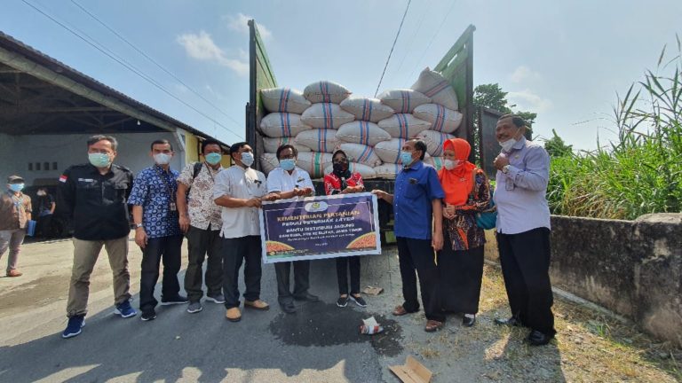 Kementan Subsidi Distribusi untuk Stabilkan Pasokan dan Harga Jagung