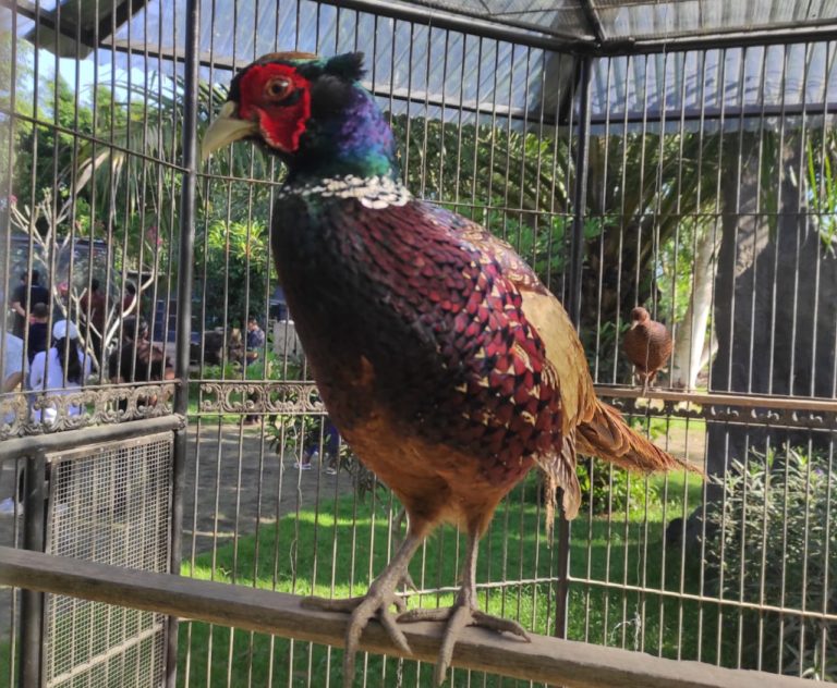 Kembangkan Ekosistem Habitat Flora dan Fauna, Zainal Tayeb Dukung Pelestarian