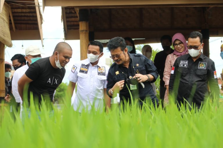 Raker Komisi IV DPR, Mentan: Realisasi Produksi Pangan Meningkat
