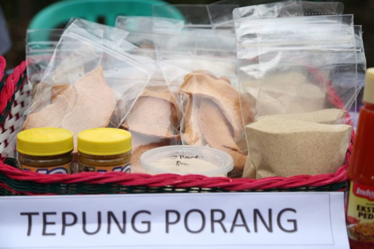 Penuhi 20 Persen Lebih Kebutuhan Porang Dunia, Teknologi Pangan Harus Dikembangkan