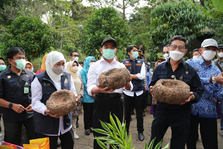 Mentan Bersama Menko PMK Cicipi Penganan Porang di Madiun