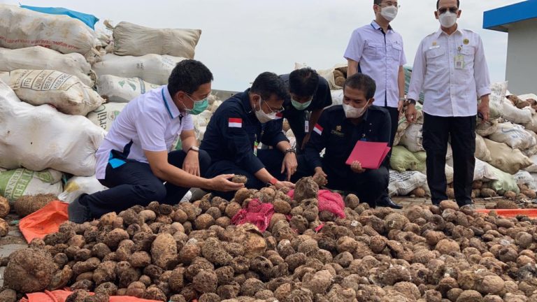 Komisi IV Apresiasi Kementan dan Dorong Jatim Jadi Produsen Utama Porang