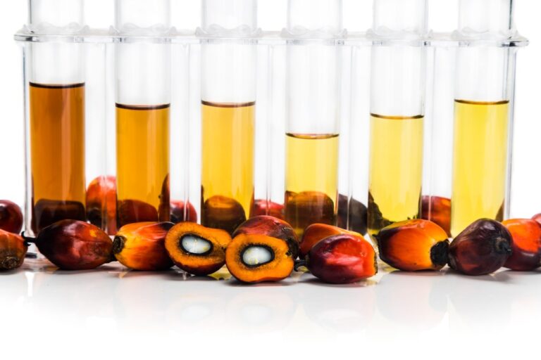 Kebutuhan Biofuel Tak Bisa Hanya Bergantung dari Minyak Kelapa Sawit