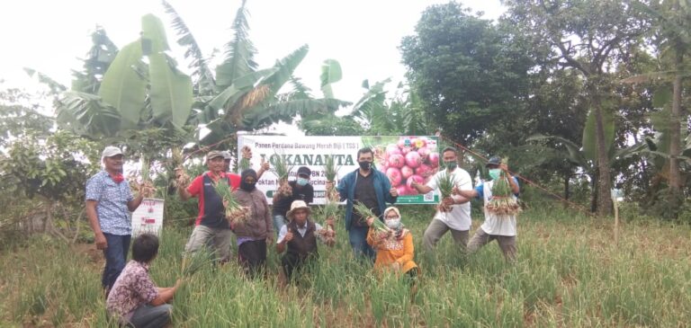 Kementan Ajak Petani Tanam Bawang Merah Biji TSS
