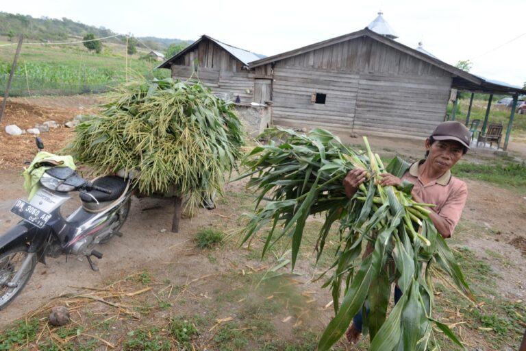 Hingga Juli 2021, Pencairan Dana Desa Capai Rp.28,8 Triliun dari Total Rp.72 Triliun